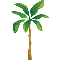 A Tall Palm Tree with Vibrant Green Leaves and a Textured Brown Trunk Set Against a Clear Transparent Background Offering a Simple Botanical Illustration of Tropical Flora