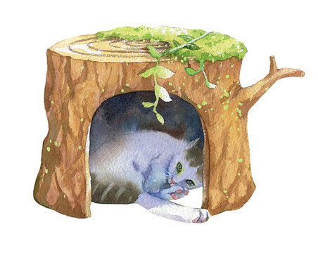 Resting in the Tree Hollow