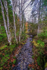 Landscapes of Kalkalpen National Park in Austria