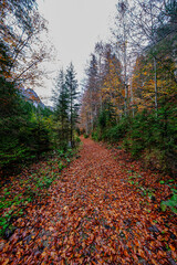 Landscapes of Kalkalpen National Park in Austria