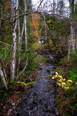 Landscapes of Kalkalpen National Park in Austria