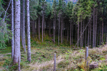 The Blausee area near Neukirchen am Grossvenediger in Austria