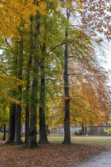 Gardens in Salzburg, in the city of Austria