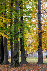 Gardens in Salzburg, in the city of Austria