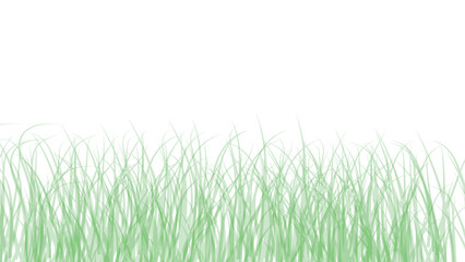 Light green grass border illustration on white background for nature designs and decoration projects