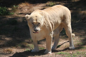Zoo