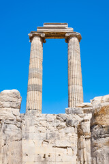 Fototapeta premium Temple of Apollo ruins at Didyma ancient sanctuary in Didim city in Turkey