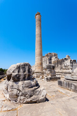Fototapeta premium Temple of Apollo ruins at Didyma ancient sanctuary in Didim city in Turkey