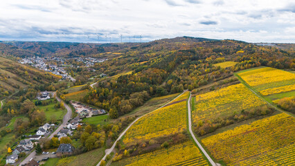 Vineyard aerial view in autumn, Moselle valley landscape, autumnal foliage, agriculture, riesling wine harvest, Trier, Germany © Berit Kessler