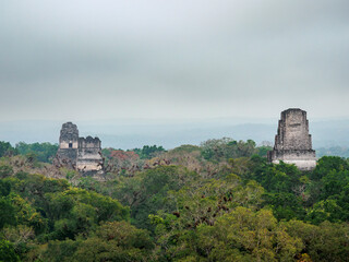 Temples I, II and III at dawn, elevated view, Tikal, Peten Department, Guatemala