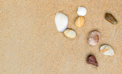 Beach sand with scattered shells and pebbles, gentle shadows, clean copyspace area.