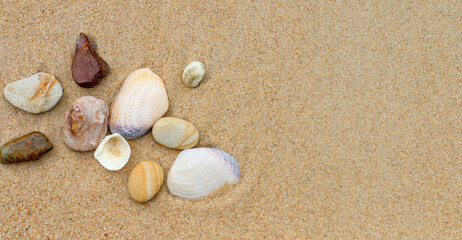Natural rocks and shells on golden sand, balanced layout, empty space for design or message.