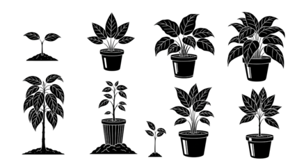 Plant Growth Stages Silhouette Vector Illustration