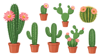Cactus Plants Pink Flowers Potted Vector Illustration
