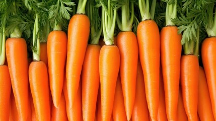 Fresh orange carrots with green leaves arranged artfully at a market stall showcase the vibrant colors and textures of this seasonal vegetable