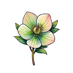 Illustration of a delicate flower isolated on transparent background