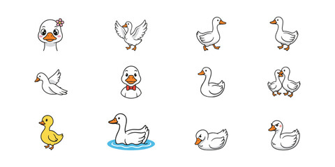 Duck Cartoon Illustration Collection
