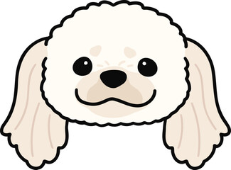 Simple and adorable illustration of white Pekingese dog face