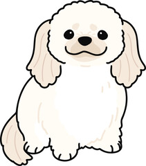 Simple and adorable illustration of white Pekingese dog sitting in front view