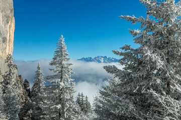 L' hiver en montagne , massif de la Chartreuse , Aulp du Seuil , Col de Marcieu , vue sur Pic du Frêne,Isère , France