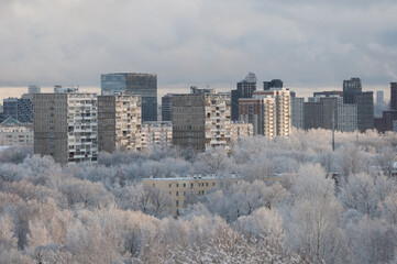 Modern skyscraper on the edge of nature