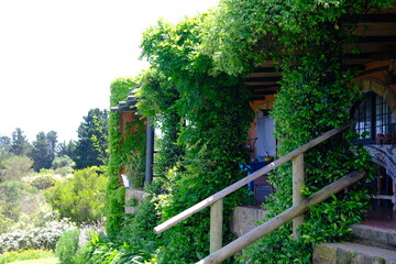 Fototapeta premium staircase in the garden