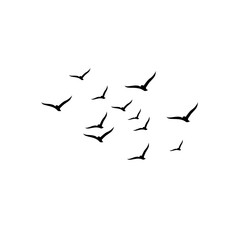 Birds taking off from treetops into the clear blue sky, reflecting motion, freedom, and the wonders of nature.