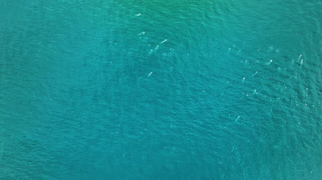 Aerial view of the ocean surface, showing the turquoise water with subtle wave patterns and hints of white spray, Cape Town, Western Cape, South Africa.