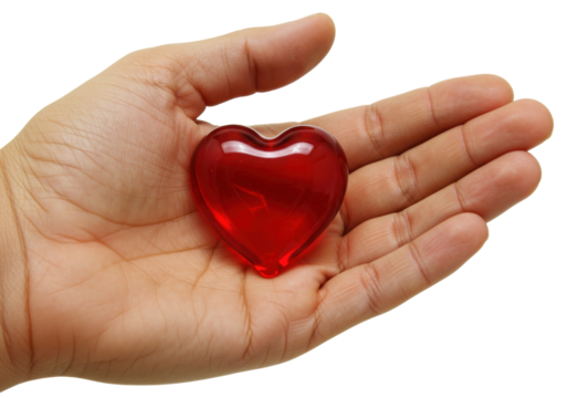 Isolated translucent red heart in palm of human hand, love symbol, care, giving, valentine