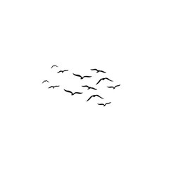 A flock of birds soaring gracefully across the bright blue sky, symbolizing freedom, peace, and harmony with nature.