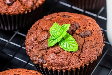 Delicious chocolate mint muffins freshly baked and ready to eat