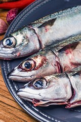 Fresh mackerel fish ready for cooking on a dark platter