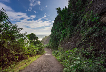 Path through a forest with a view of the ocean
