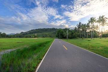 Road with a few palm trees in the background