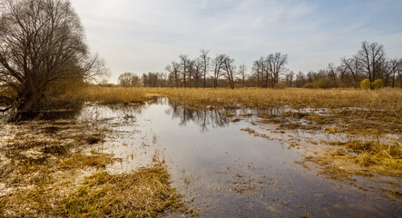 Fototapeta premium Field of grass with a body of water in the middle