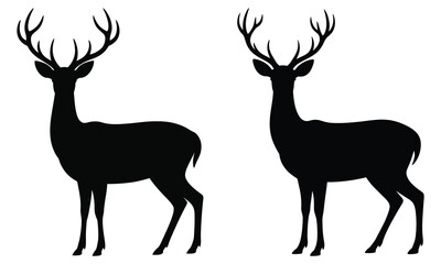 silhouette of a deer