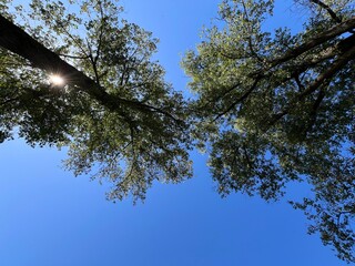 Muszyna, Dolina Popradu,  © Maciej G. Szling