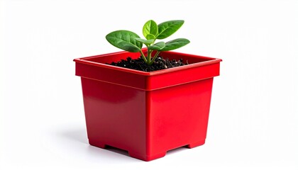 "Green sprout emerging from dark soil in glossy red pot, symbol of growth and renewal"