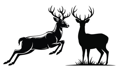 silhouette of a deer