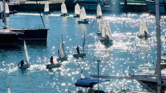 Optimist Dinghies Sailing Out of Harbor with Sunlit Water Reflections
