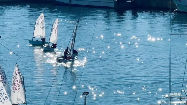 Optimist Dinghies Sailing Out of Harbor with Sunlit Water Reflections