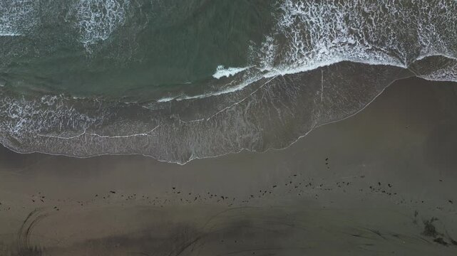 Overhead aerial view shows green gray waves rolling onto dark wet sand at Little Siargao with foamy backwash drawing arcs along the shore