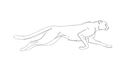 Fototapeta premium international cheetah day, A minimalist line drawing of a running cheetah, elegant and simple, on a pastel-colored background. 
