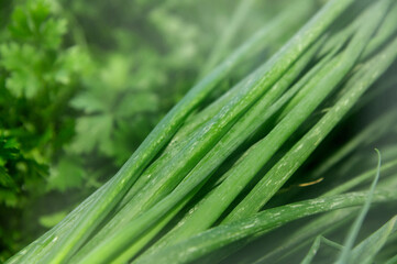 Fototapeta premium Close-up of green onion leaves surrounded by greenery on a grocery store counter