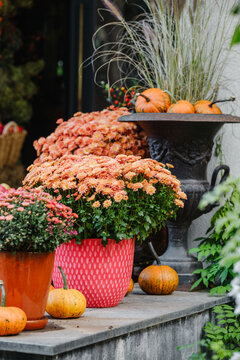 Autumn potted mums and pumpkins decorate outdoor entrance step fall decor
