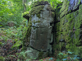 Fototapety na wymiar - Fototapeta24.pl