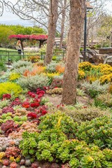 Voyage &agrave; Los Angeles