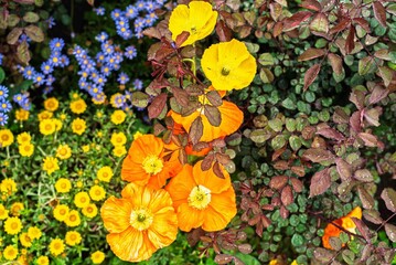 Voyage &agrave; Los Angeles