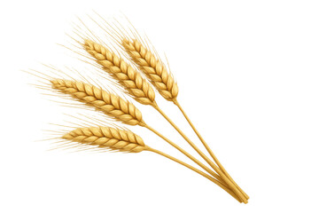 Obraz premium Golden wheat ears bunch creating a farm, agriculture, and harvest concept on transparent background