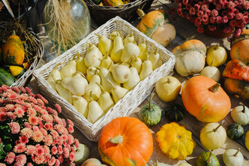 Assortment of miniature pumpkins gourds and flowers display on rustic wooden table